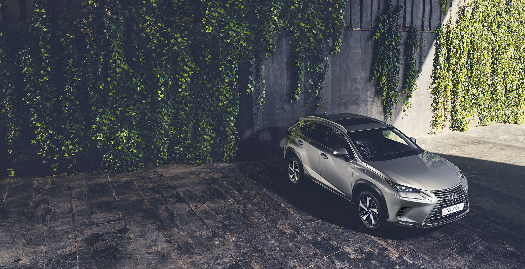 Lexus NX SUV