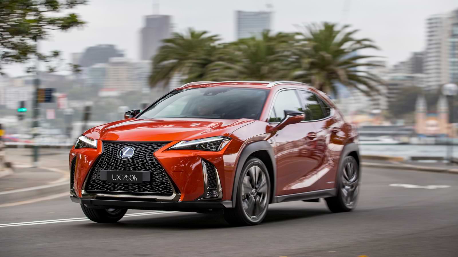 UX 250h F Sport